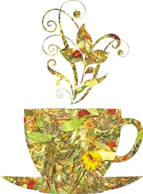 Монастырский чай для почек (почечный сбор трав)