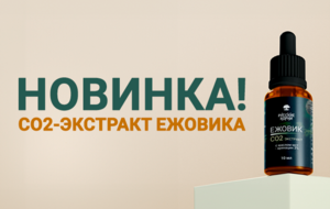 Экстракт ежовика: природный стимулятор мозговой активности