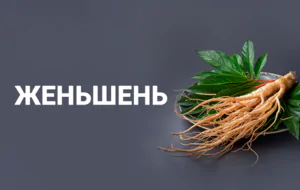 Новинка! Женьшень на меду