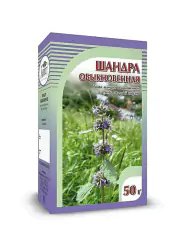 1Шандра обыкновенная трава, 50 гр