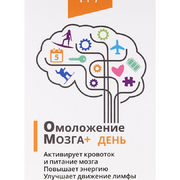 1Комплекс "Омоложение мозга Плюс. День", 50 мл