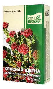 1Красная щетка (родиола четырехчленная) корень, 30 г