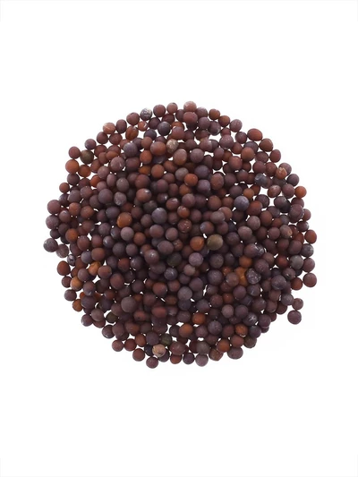 Горчица черная (семена) 30 гр