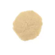 Ежовик гребенчатый (герициум), порошок мицелия. Природный ноотроп. Нервы, сосуды, мозг, 100 гр.