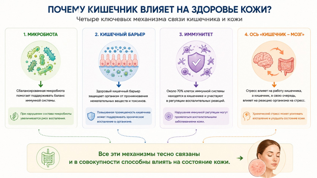 кишечник и кожа.jpg