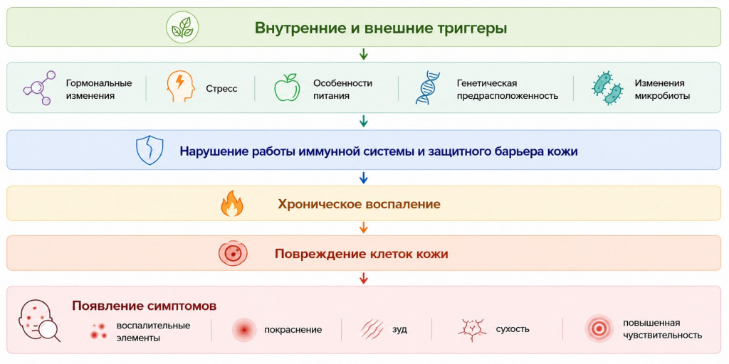Схема_заболевания кожи.jpg
